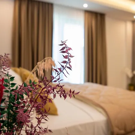 Tanushaj Beach Resort 4* Shengjin